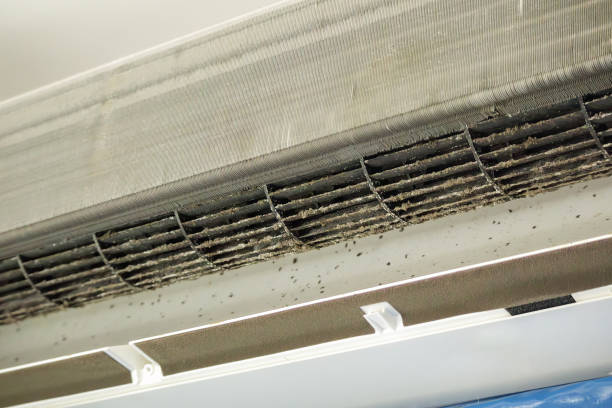 Best Air Duct Cleaning Near Me  in Berlin, WI